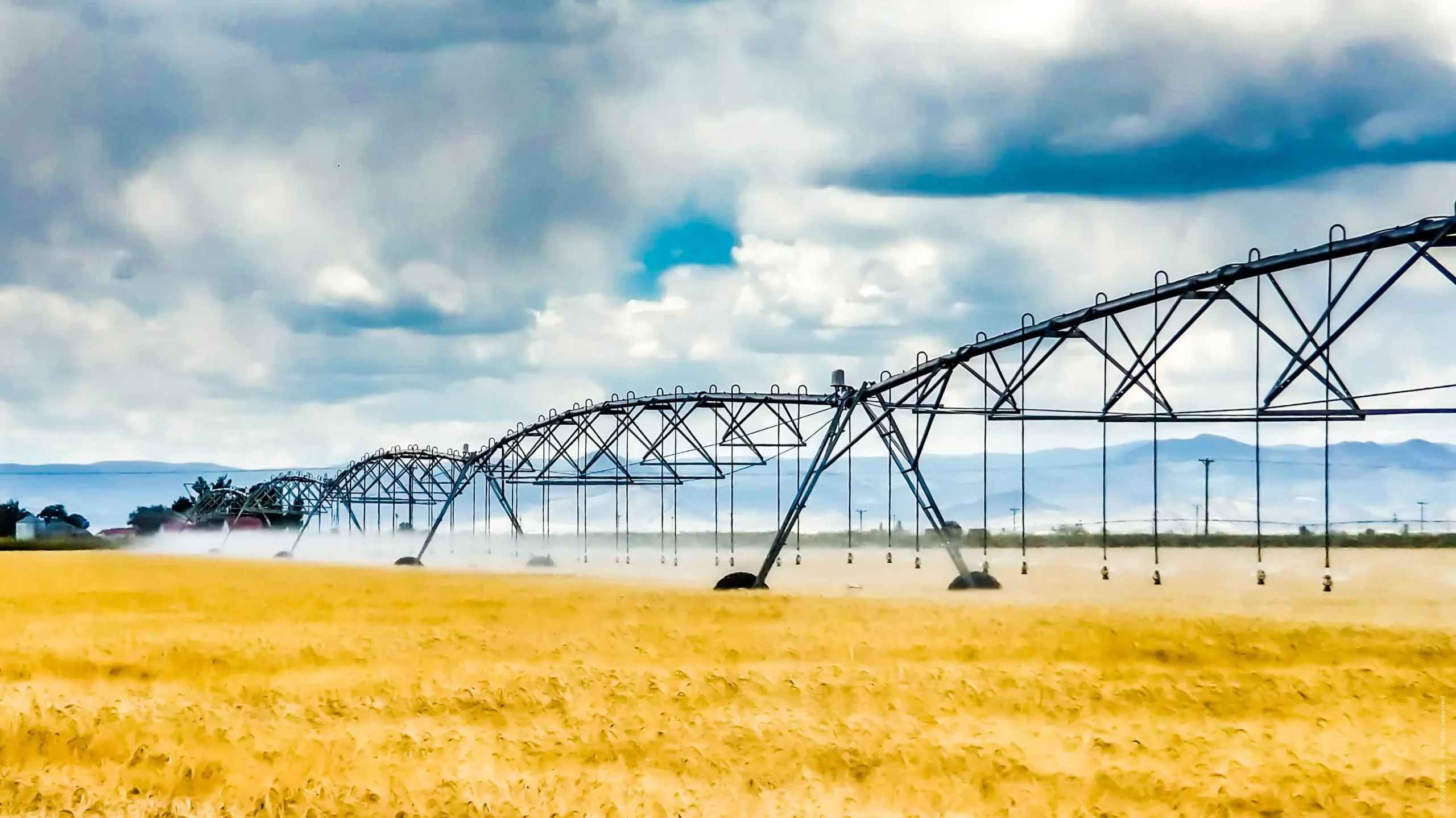 Center pivot öntözőrendszer működés közben gabonatáblában.